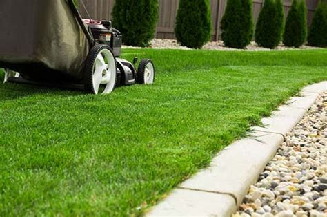 photo Gestion des espaces extérieurs